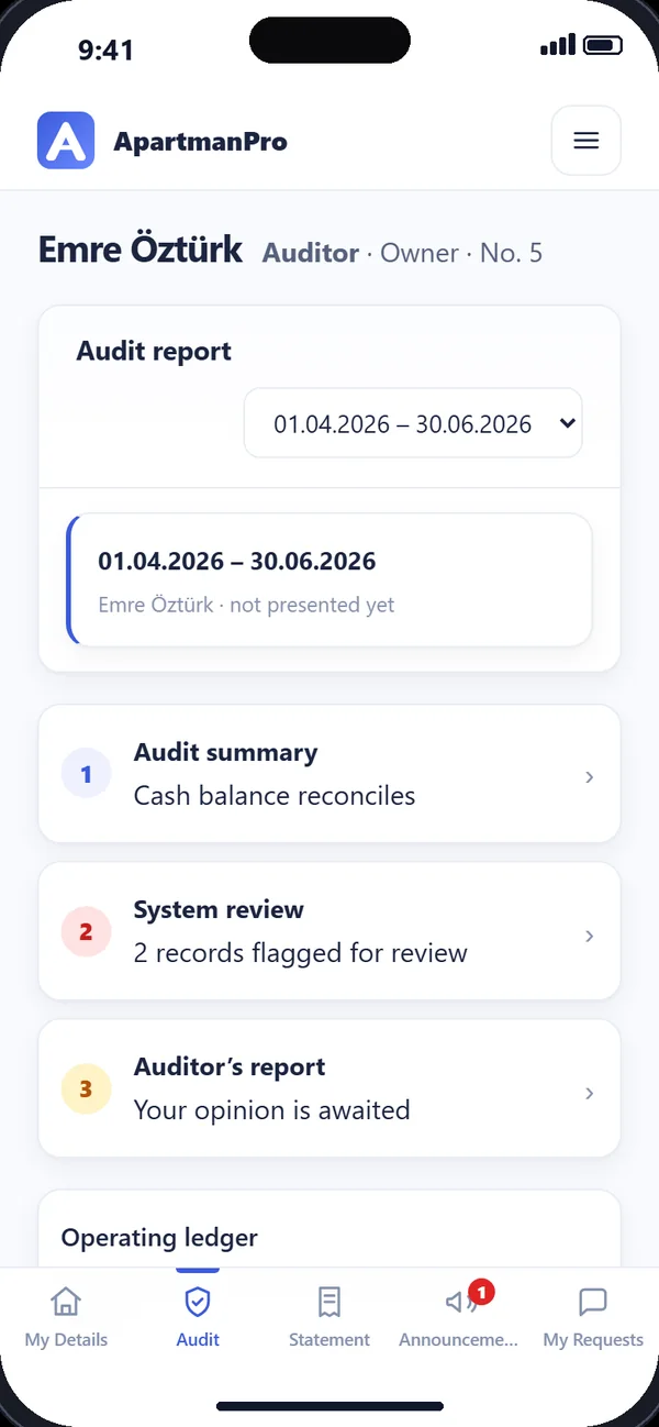 Auditor screen: audit summary, system review and report steps
