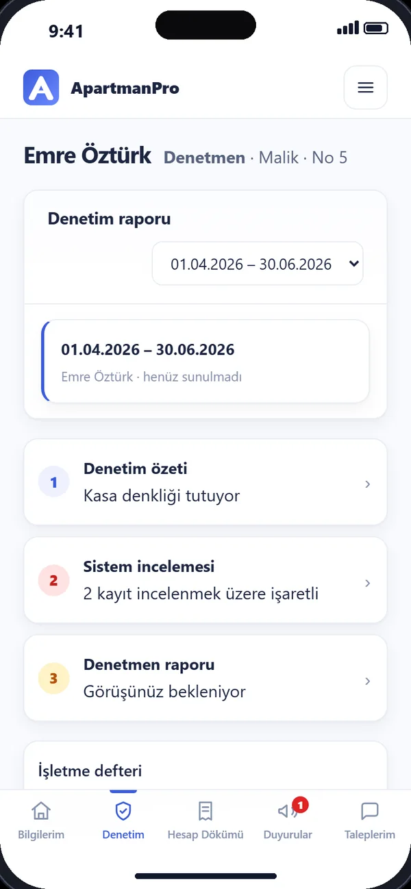 Denetçi ekranı: denetim özeti, sistem incelemesi ve rapor adımları